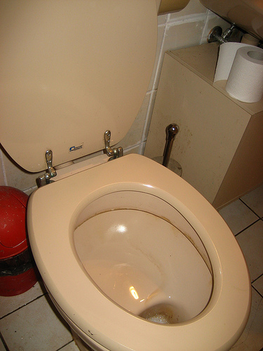 example of a German toilet